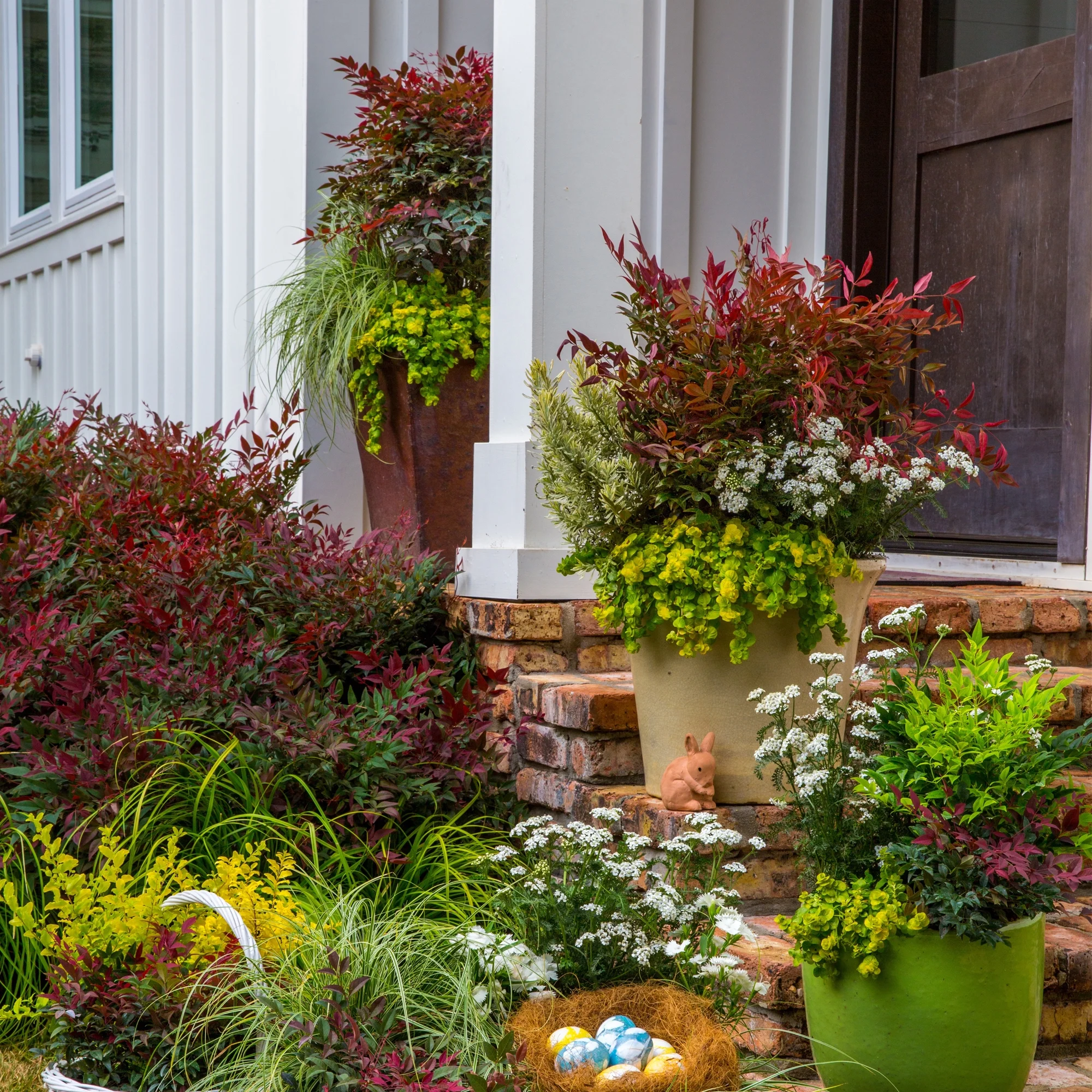 Southern Living Plant Collection Nandina Obsession Live Shrub (2 Gallon)