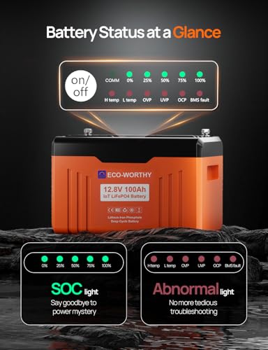 ECO-WORTHY 12V 100AH LiFePO4 Lithium Battery with Bluetooth, Max.1280Wh Energy, Low Temperature Protection, Group 24, Built-in 100A BMS, Perfect for Trolling Motor, RV, Boat, Solar Off-Grid