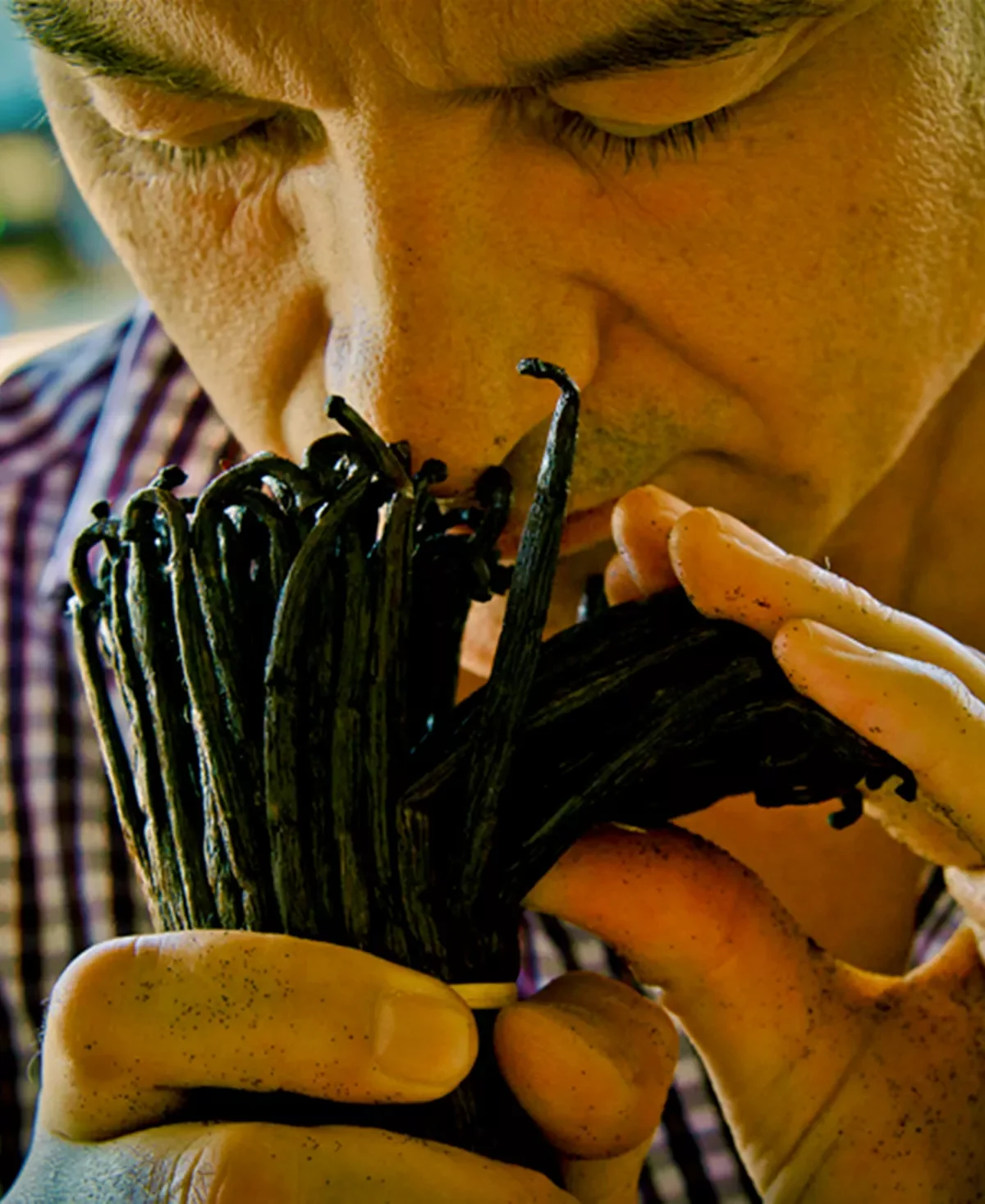 Guerlain Shalimar Eau De Toilette Spray 3.1 Oz