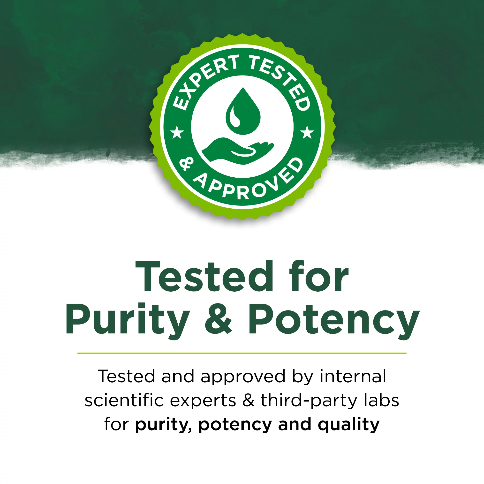 Swanson Pantothenic Acid Capsules, 500 mg, 250 Count