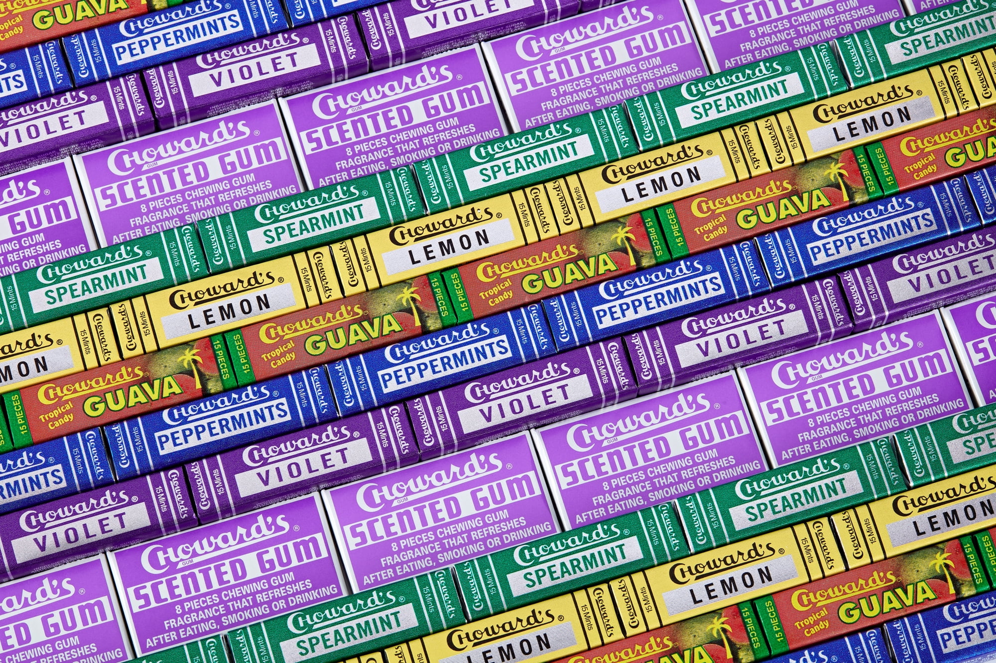 Choward Violet (Pack of 24)