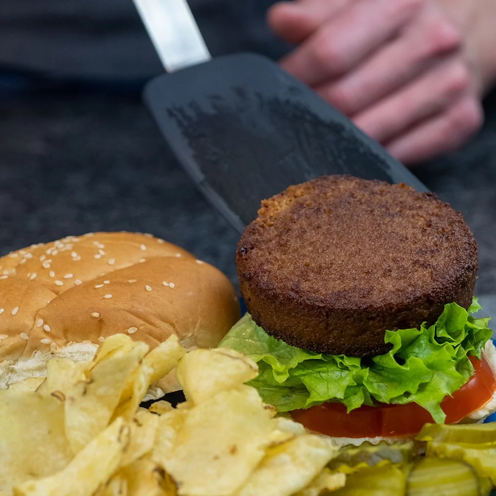 Loma Linda Redi-Burger (15 oz) (Pack of 12) Vegan