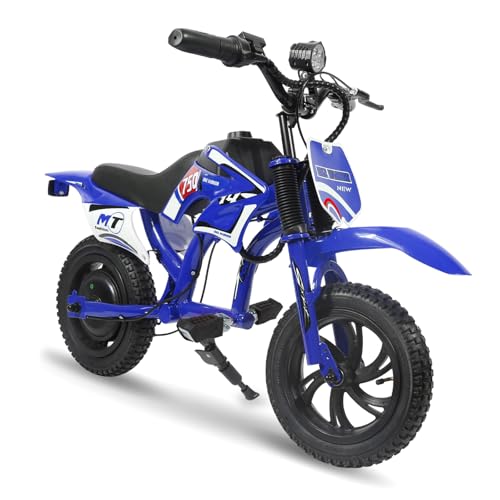 Kids Electric Motorcycle, 25.2V 300W Brushless Motor & Controller, 3 Speeds (10MPH, 8 Miles), LCD, LED, Moto Sound, Twist Grip, Dual Suspension & Brakes, for 3-10 yrs, 110 LB (Blue)
