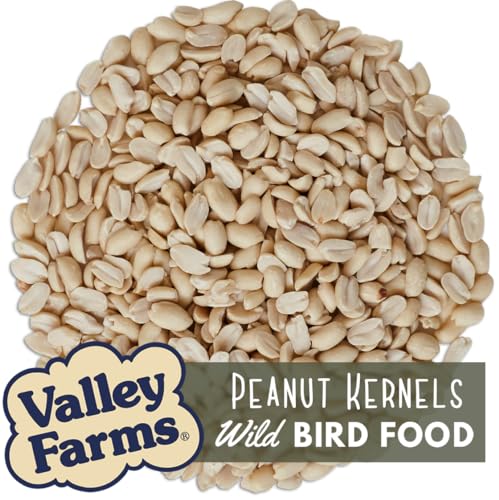Valley Farms Whole Peanut Kernels (4 LB) Wild Bird Food for Outside Feeders, Peanuts for Birds, Chickadee Bird Seed for Outside Feeders, No Mess Bird Seed
