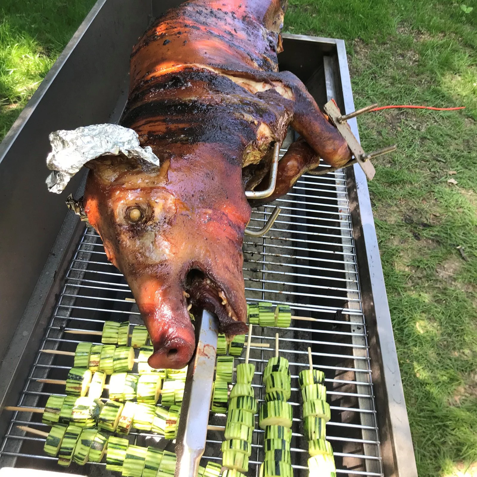 Commercial Bargains Rotisserie Pig Roaster Charcoal Electric Motor Grill