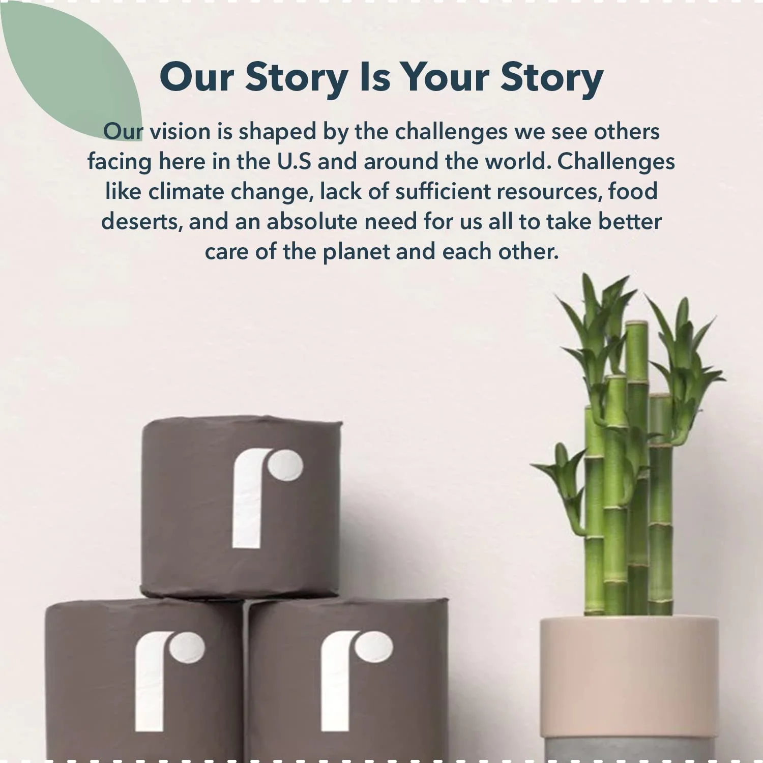 Reel Bamboo Toilet Paper, 3-Ply, Eco-Friendly, 24 Rolls, 300 Sheets Per Roll