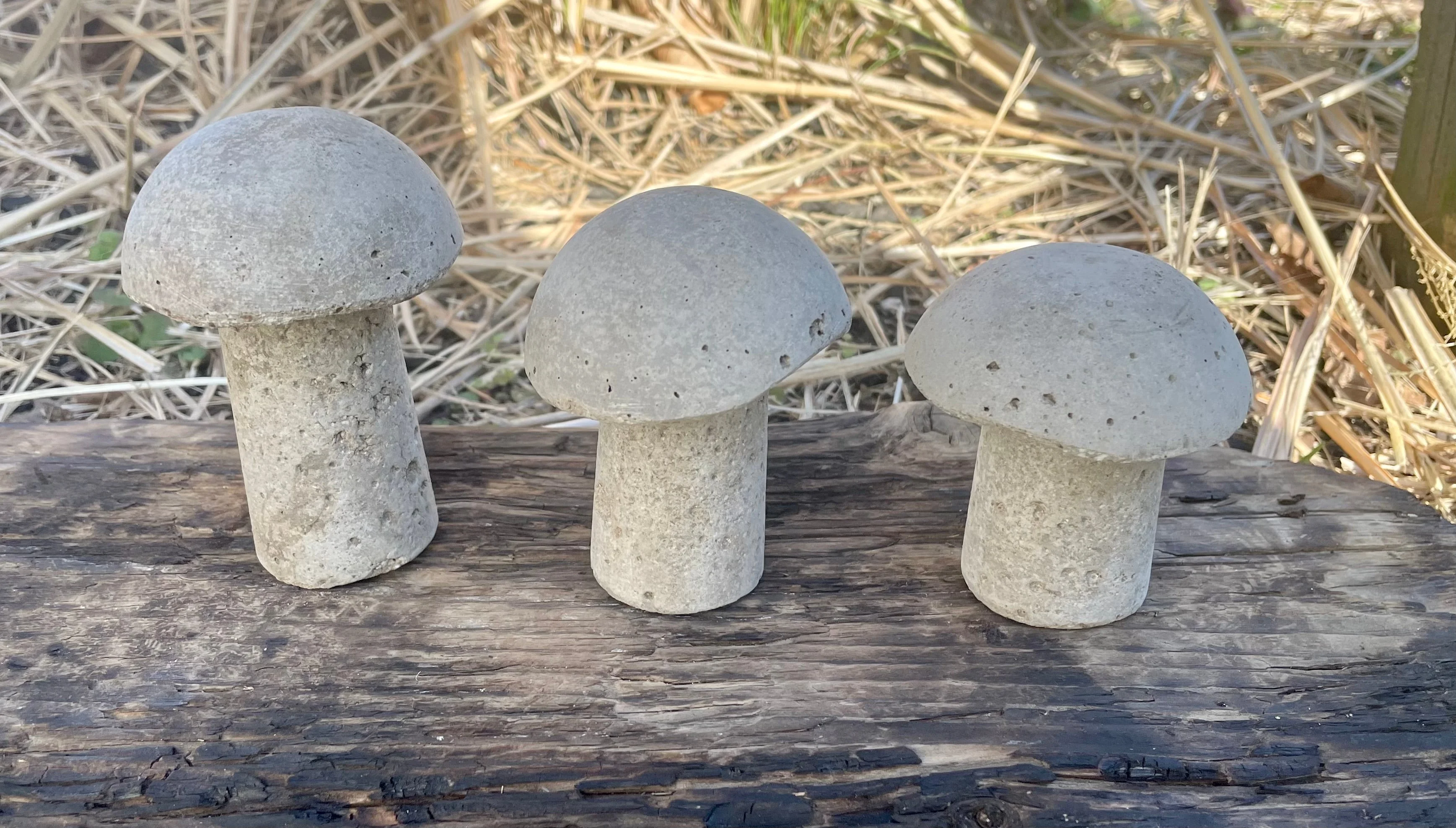 Cement Mushrooms, Hypertufa, Yard art, garden decor, Fairy Garden, Shrooms,Gnome garden, Toadstools