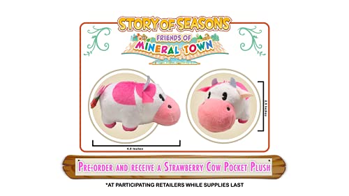 Story of Seasons: Friends of Mineral Town - Nintendo Switch