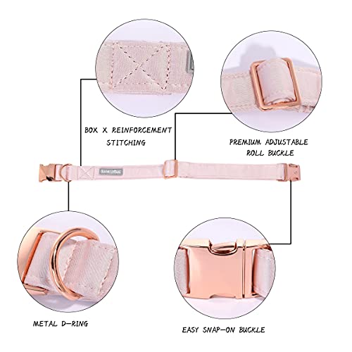 Lionet Paws Bowtie Dog Collar - Comfortable Silk Dog Collar with Detachable Bow Tie for Medium Dogs, Neck 13.5-22 Inches