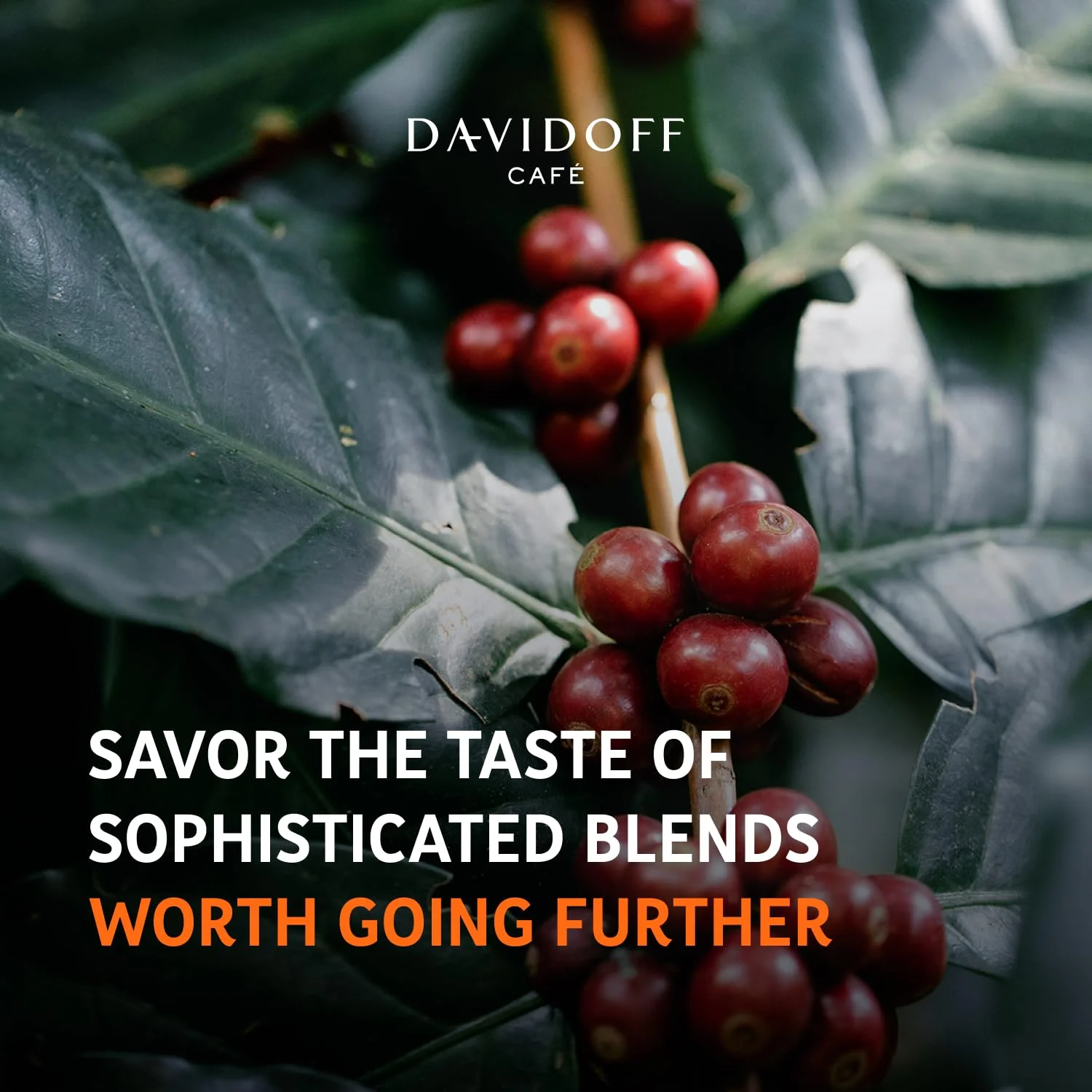 DAVIDOFF Espresso 57 Coffee Capsules. Nespresso Machine Compatible - Dark and Chocolatey - 100% Arabica Beans - 11/12 Intensity. 12/12 Roasting. 2/12 Acidity - 10 x 10 Capsules - 1.94 oz