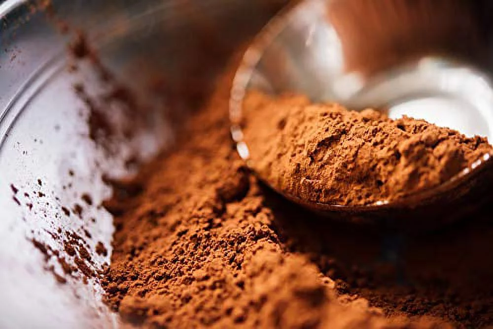 Rodelle Dutch Processed Gourmet Baking Cocoa Powder