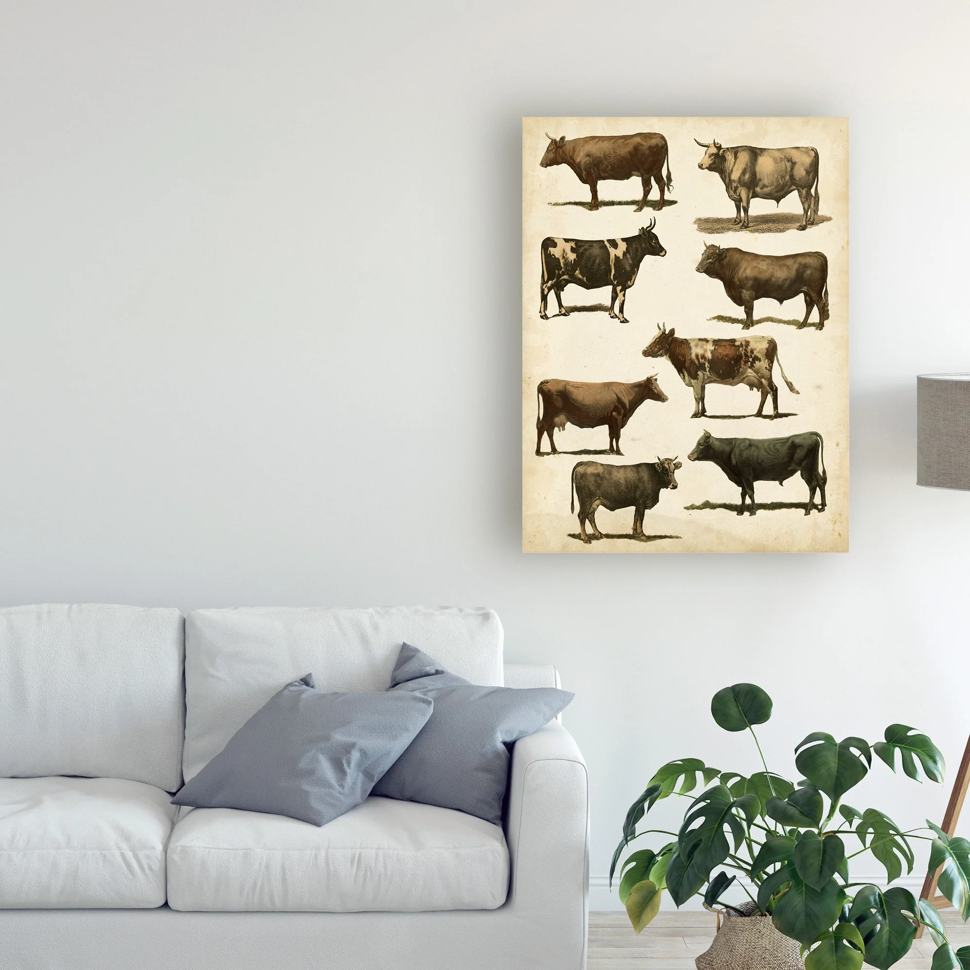 Trademark Fine Art 'Antique Cow Chart' Canvas Art by Vision Studio