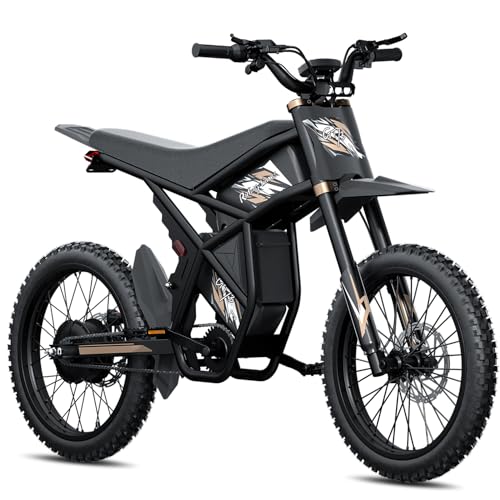 GT73 Electric Dirt Bike for Adults 2500W Electric Bike with 1747Wh(48V 18.2AH*2) Removable Batteries 37MPH/85Mile Range 25