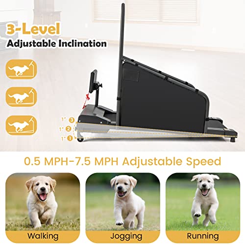 Goplus Dog Treadmill, Pet Running Machine for Small/Medium-Sized Dogs Indoor Exercise, Pet Fitness Equipment with Remote Control and 1.4'' Display Screen (Black)