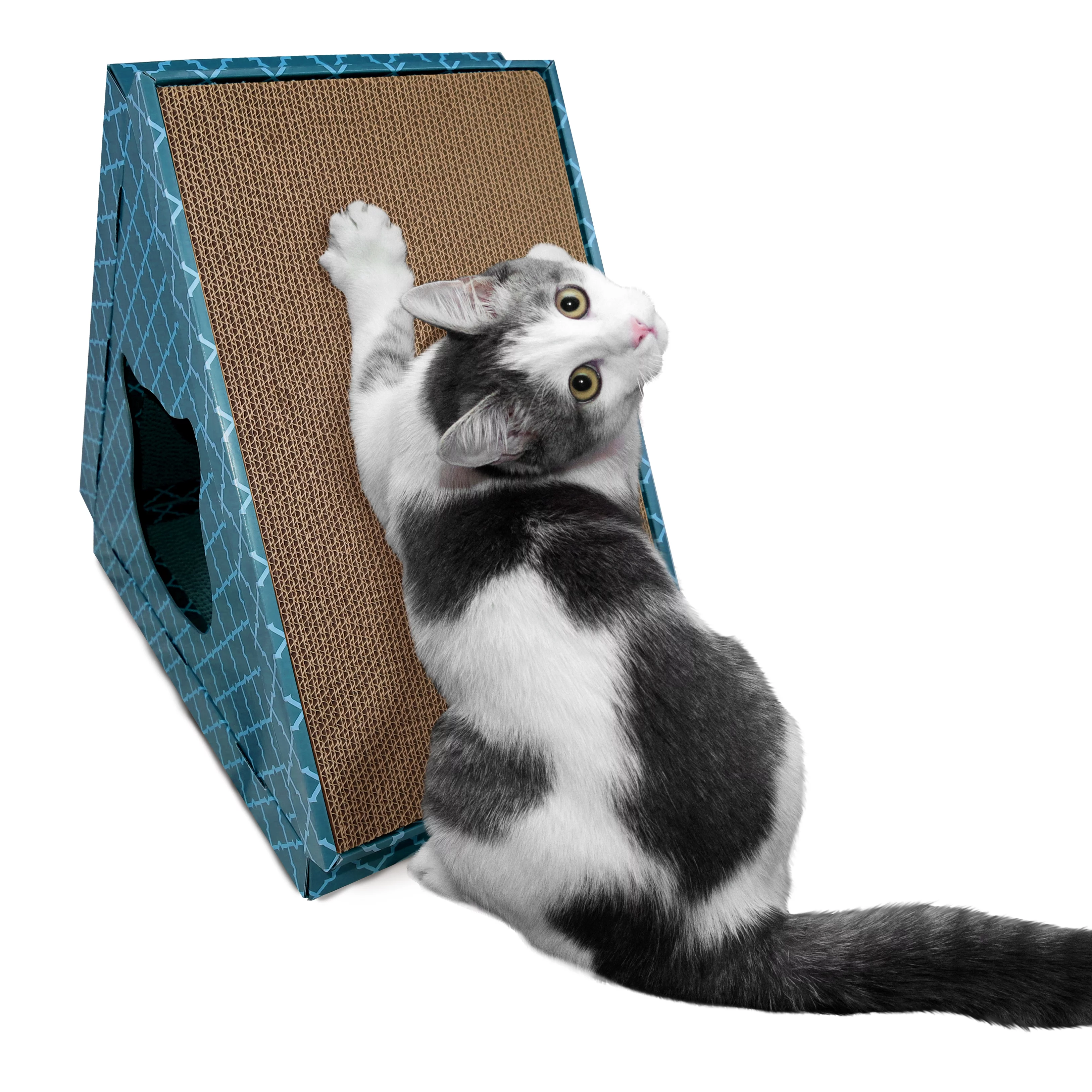 FurHaven Pet Cat Scratcher | Tiger Tent Corrugated Cat Scratcher House with Catnip, Seaglass