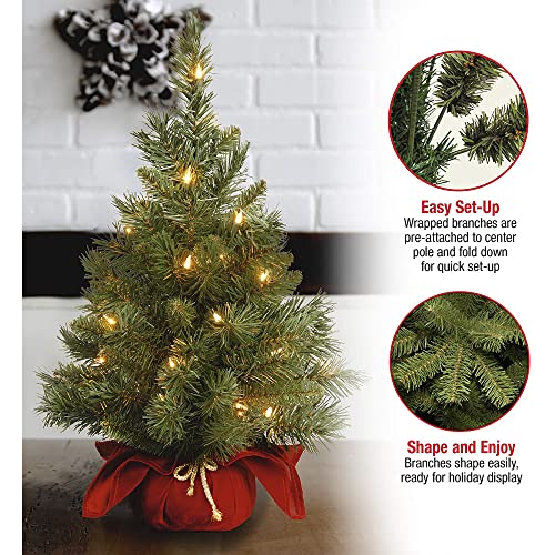 National Tree Company 24 in Pre-Lit Majestic Fir Mini Artificial Christmas Tree, 35 Clear Lights, 71 Tips, Red Cloth Base, Green