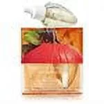 Bath & Body Works Sweet Cinnamon Pumpkin Wallflowers Home Fragrance Refills, 2-Pack (1.6 fl oz total)
