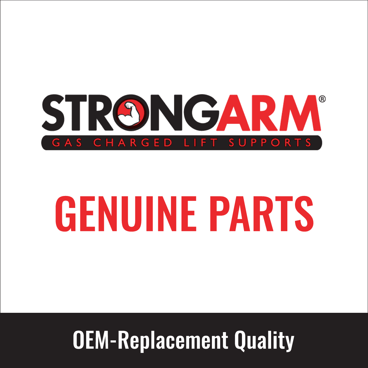 2 pc Strong Arm 4339 Hood Lift Supports for 901377 SG304029 Body Fits select: 1999-2007 FORD F250, 1999-2007 FORD F350