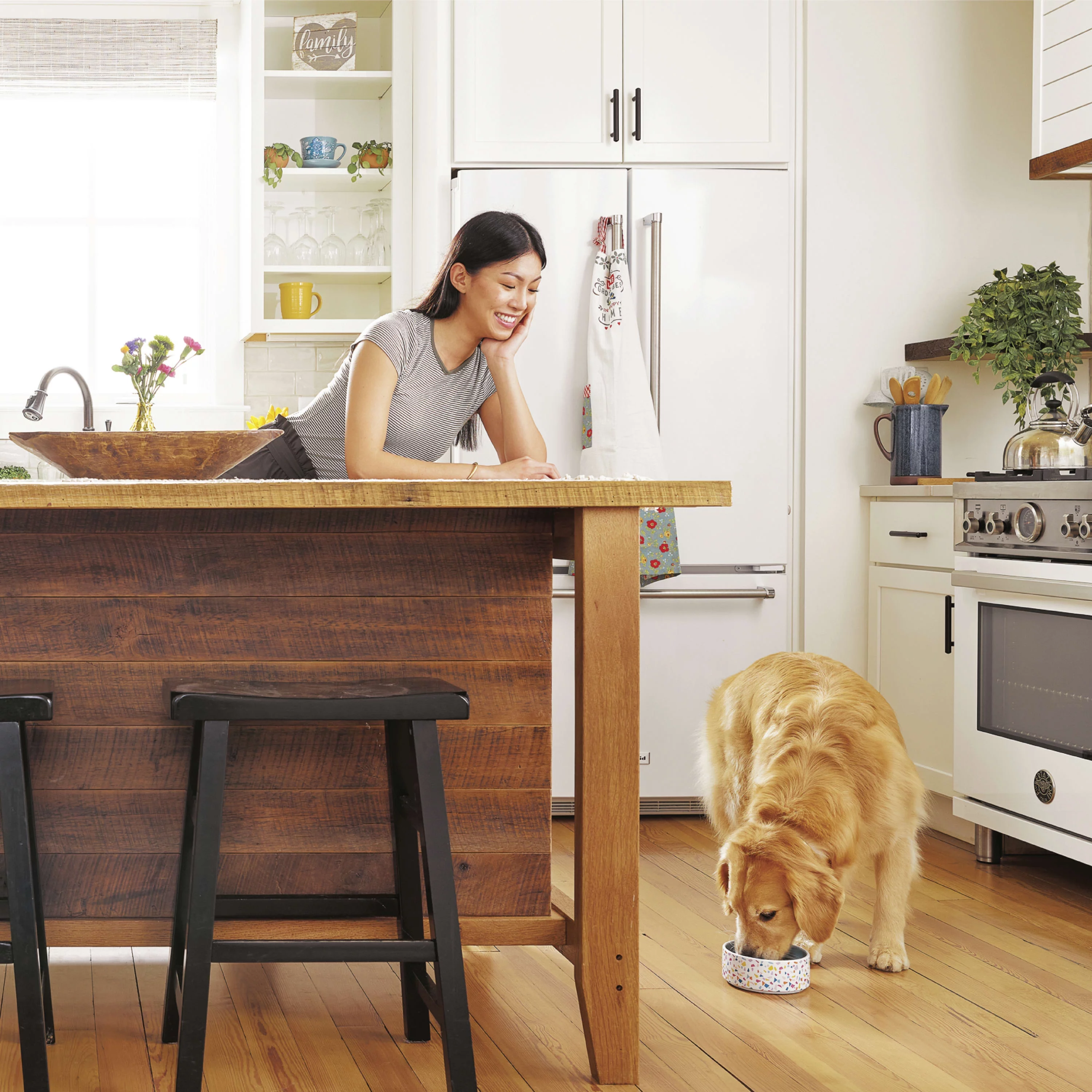 NUTRO NATURAL CHOICE Lamb & Brown Rice Recipe, Large Breed Adult Dry Dog Food, Dog Kibble, 20 lb. Bag