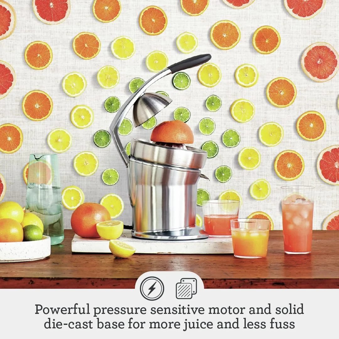Citrus Press Pro Electric Juicer, Stainless Steel, 800CPXL