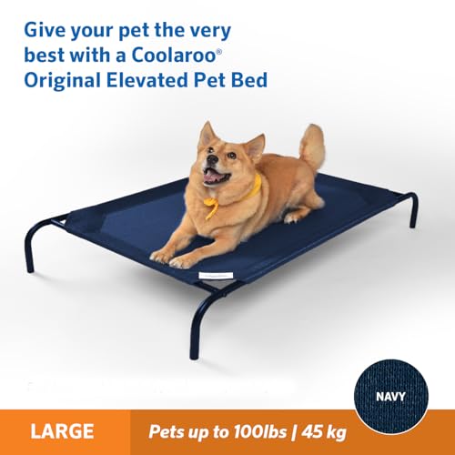Coolaroo Original Elevated Dog Bed - Breathable Off-The-Ground Pet Bed with Cooling Fabric, Joint Relief & Moisture-Resistant Fabric, 100% Recyclable, Easy Clean, Grey, Small