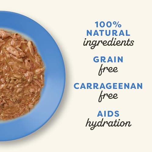 Applaws Natural Wet Cat Food in Gravy, Limited and Natural Ingredients, High Protein with No Artificial Additives, Fish Selection in Gravy (24 x 2.47oz Cans)