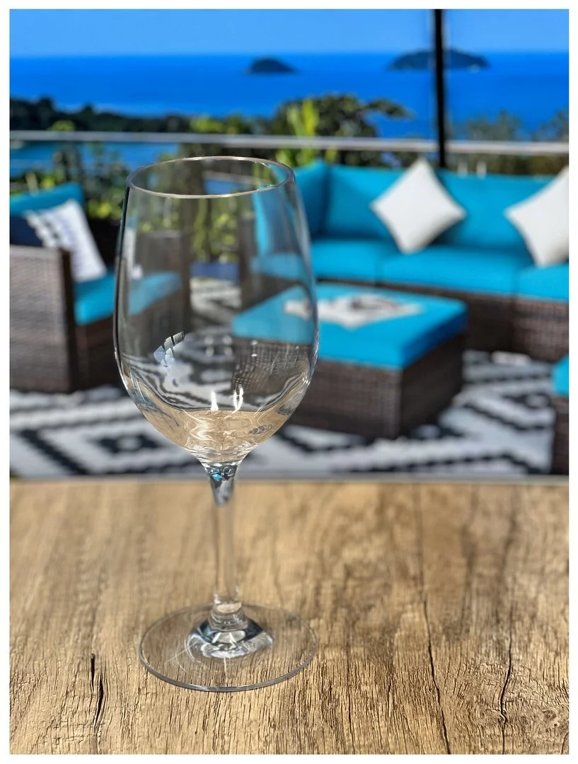 Tritan Wine glass 12 oz. - 2.5