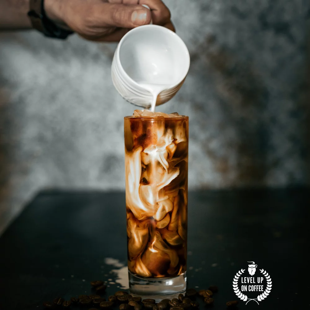 Barbarossa Coffee Medium-Dark Roast Chemex Blend (2.2 Lb)