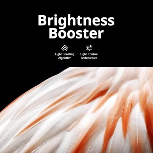 LG 55-Inch OLED C3 HDR 4K Smart OLED TV Bundle - 120 HZ Refresh Rate + UAX 4K HDMI 2.0 Cable + CPS 24 Months Protection and Streaming Kit with Alexa