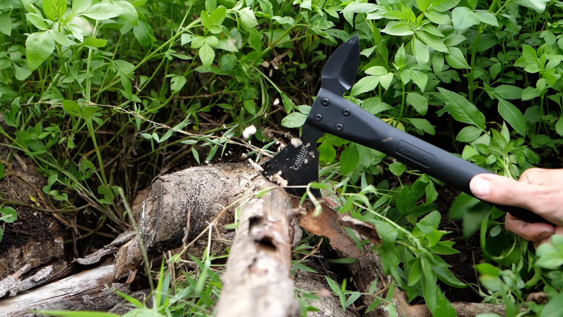 Camillus Ravenous, 13.5