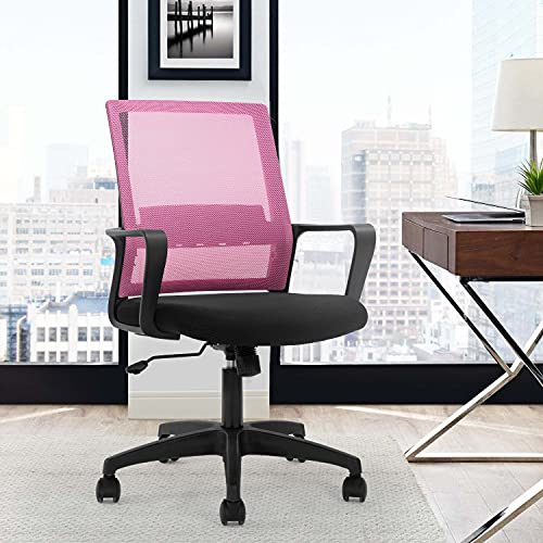 FDW Office Chair Ergonomic Desk Chair Mid-Back Mesh Computer Chair Lumbar Support Comfortable Executive Adjustable Rolling Swivel Task Chair with Armrests,Black