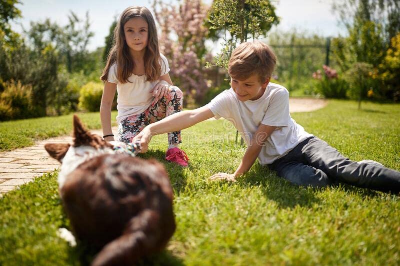 Tall-Fescue 50 LB Bag of Seed. Will Grow in Both Full Sun and Partial Shade Areas. Each Bag Covers 10,000 Square Feet When Overseeding Your Lawn