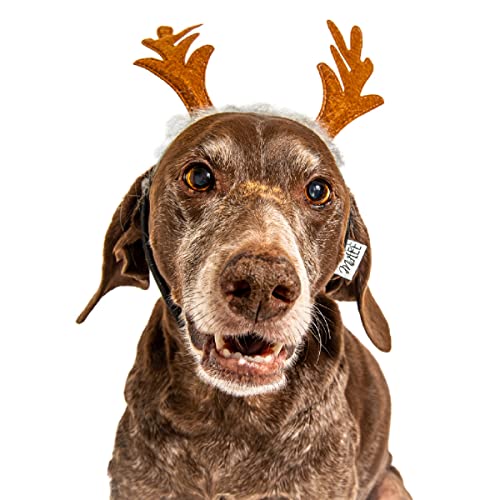 Midlee Furry Antlers Dog Headband