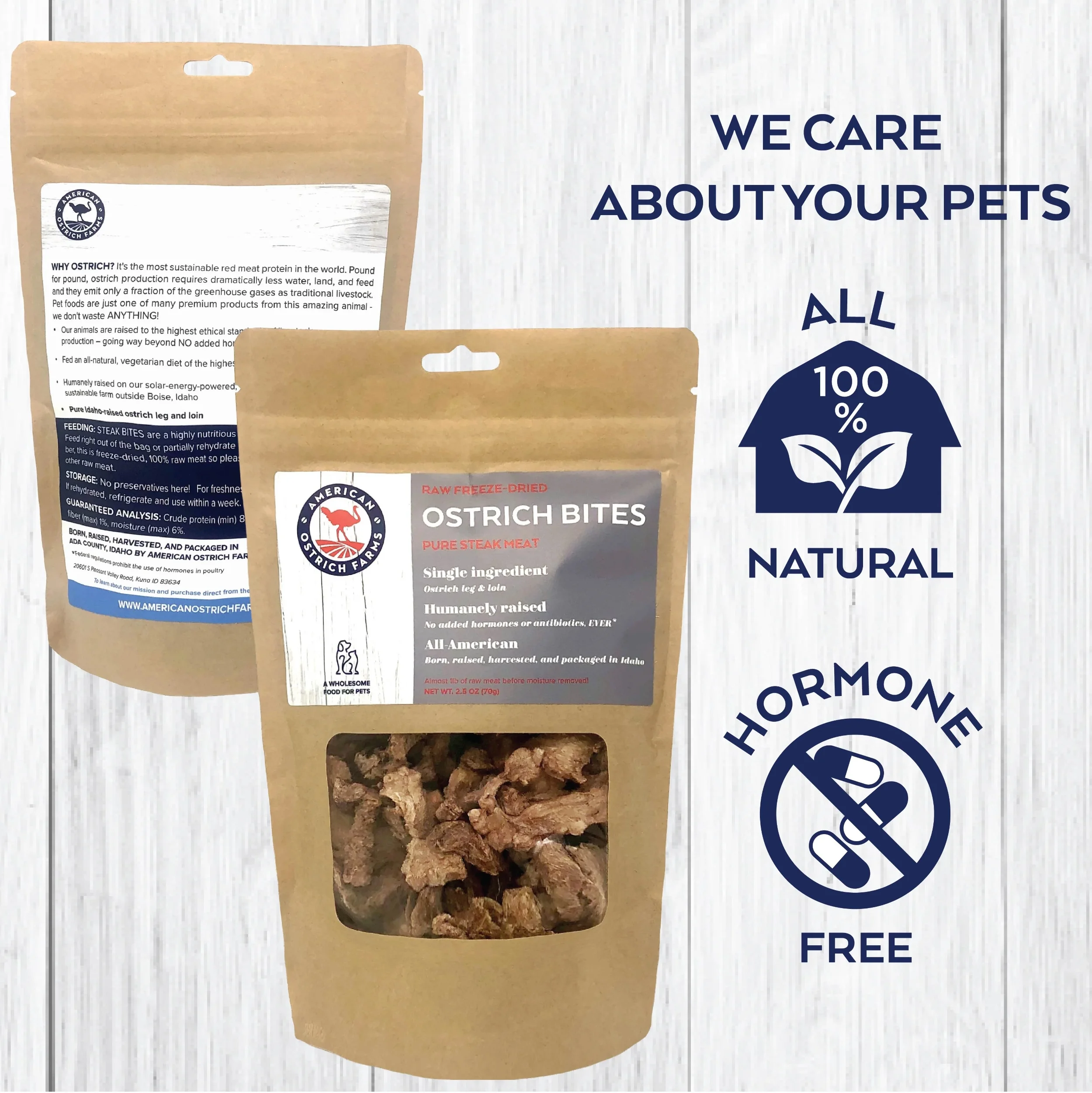 Freeze-Dried Steak Bites