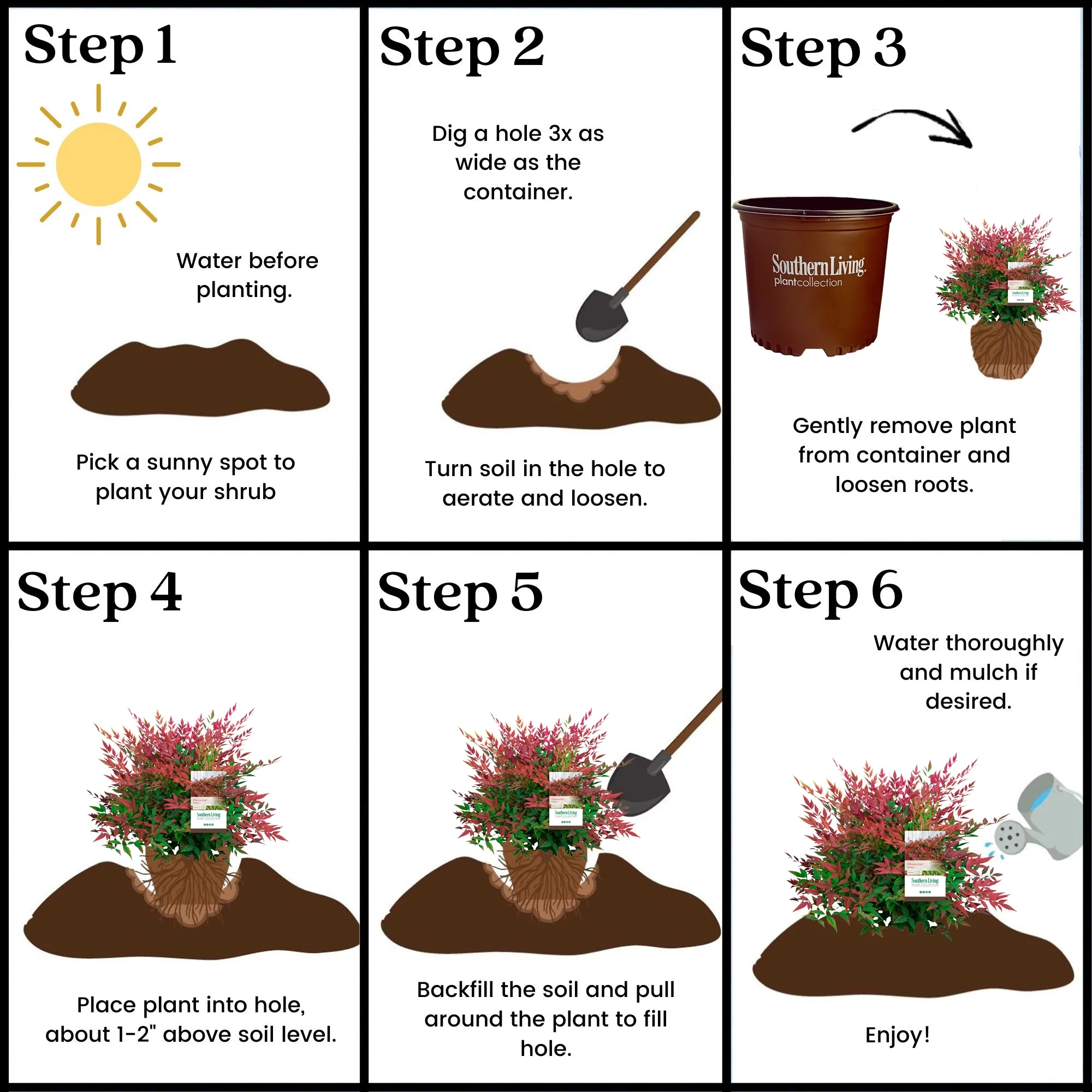 Southern Living Plant Collection Nandina Obsession Live Shrub (2 Gallon)