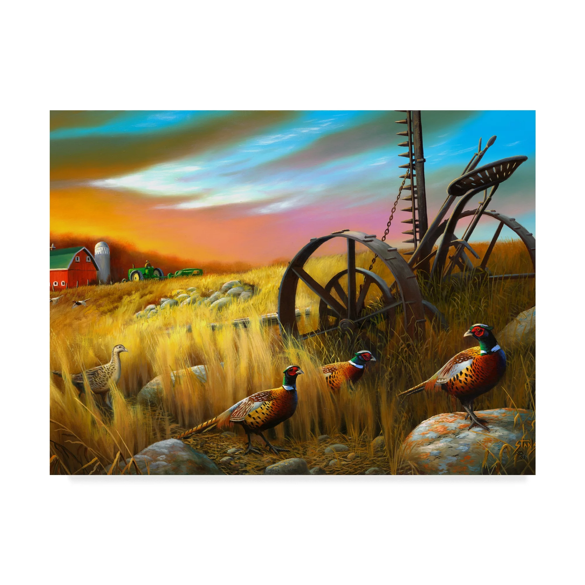 Trademark Fine Art 'Pheasants I' Canvas Art by Leo Stans
