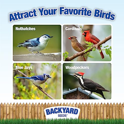 CountryMax Backyard Seeds Shelled Whole Peanuts for Woodpeckers, Birds, Squirrels & Wildlife – Premium Wild Animal Food, 10 lbs Bag