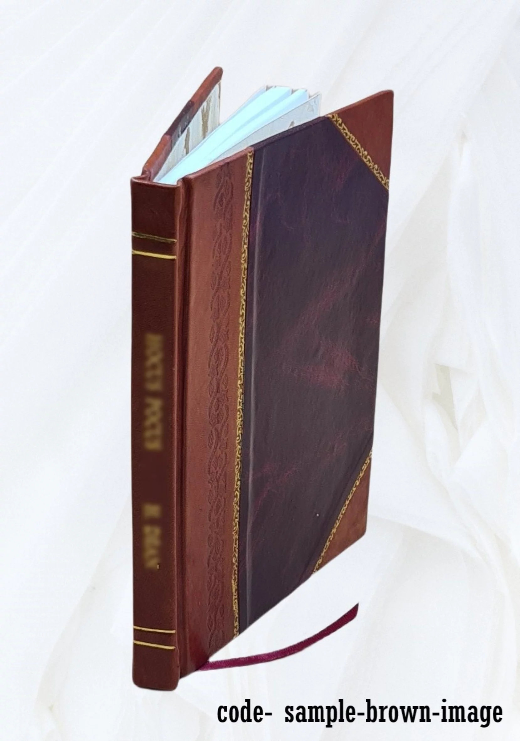 Functional baseline specification for ATC data link service implementation in the host computer / [F. Buck ... et al.] 1991 [Leather Bound]