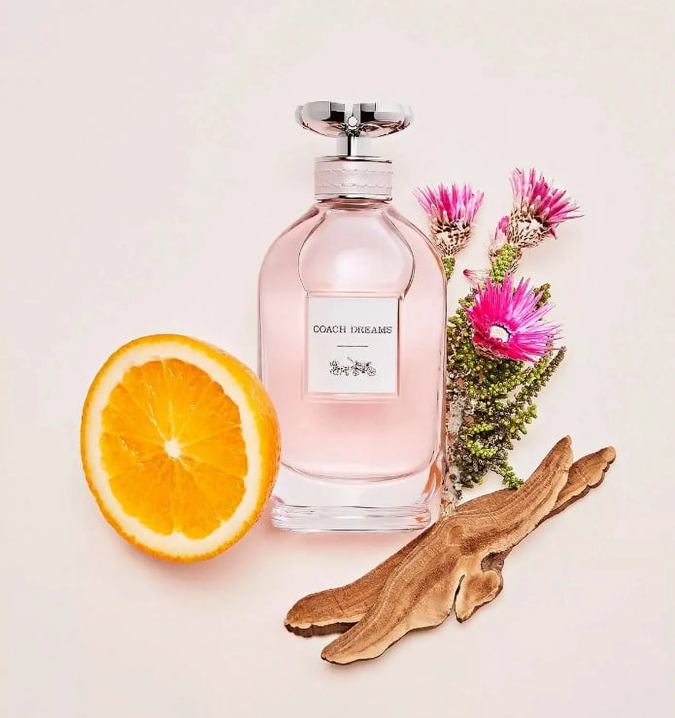 Coach Dreams by Coach Eau de Parfum 3.0 fl oz *EN