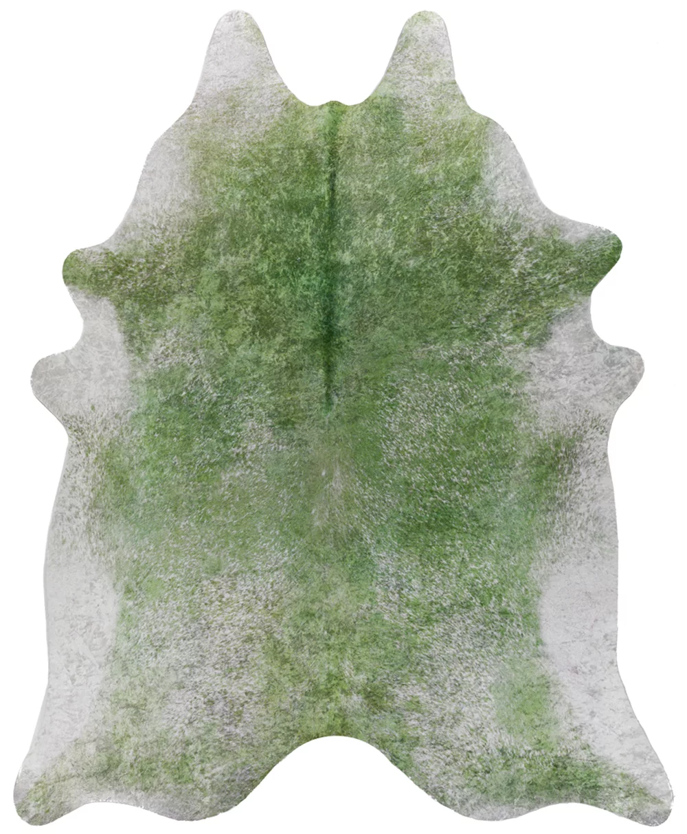 Dalyn Ranchero Area Rug RH1 Rh1 Sage Sage Gradient Shaded 8' 10