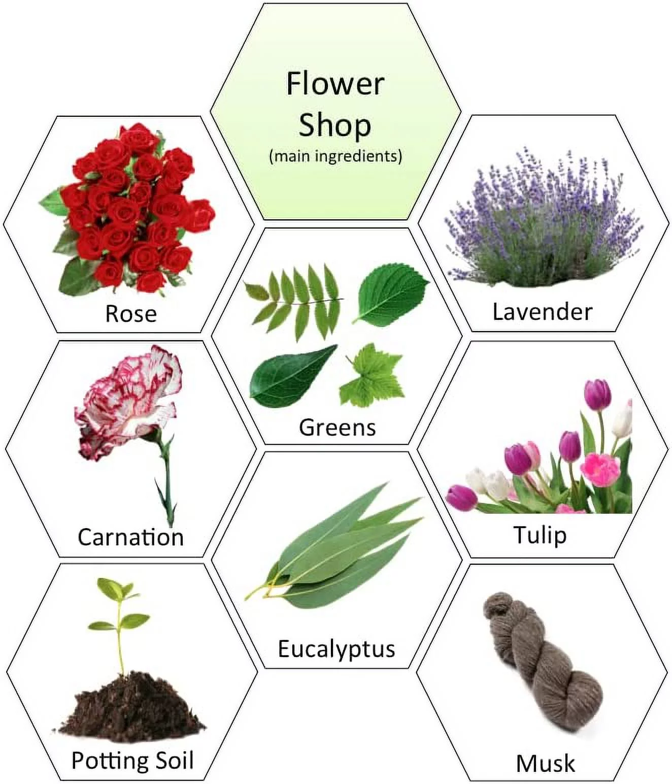 Set of 3 Flower Shop Scented Soy Wax Melts for Wax Melter and Candle Warmer