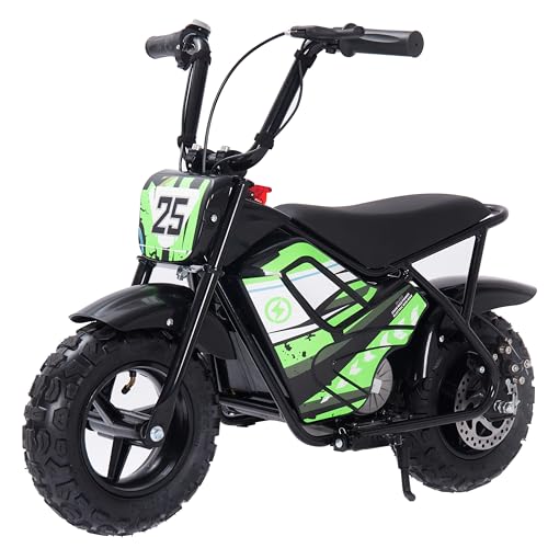 Electric Dirt Bike for Kids- 250W Peak Motor, 24V 9AH Battery, Up to 12MPH & 12 Miles Range, Max Load 100 LBS, Off-Road Tire, 2-Speed Electric Motorcycle for Ages 3-11,Green