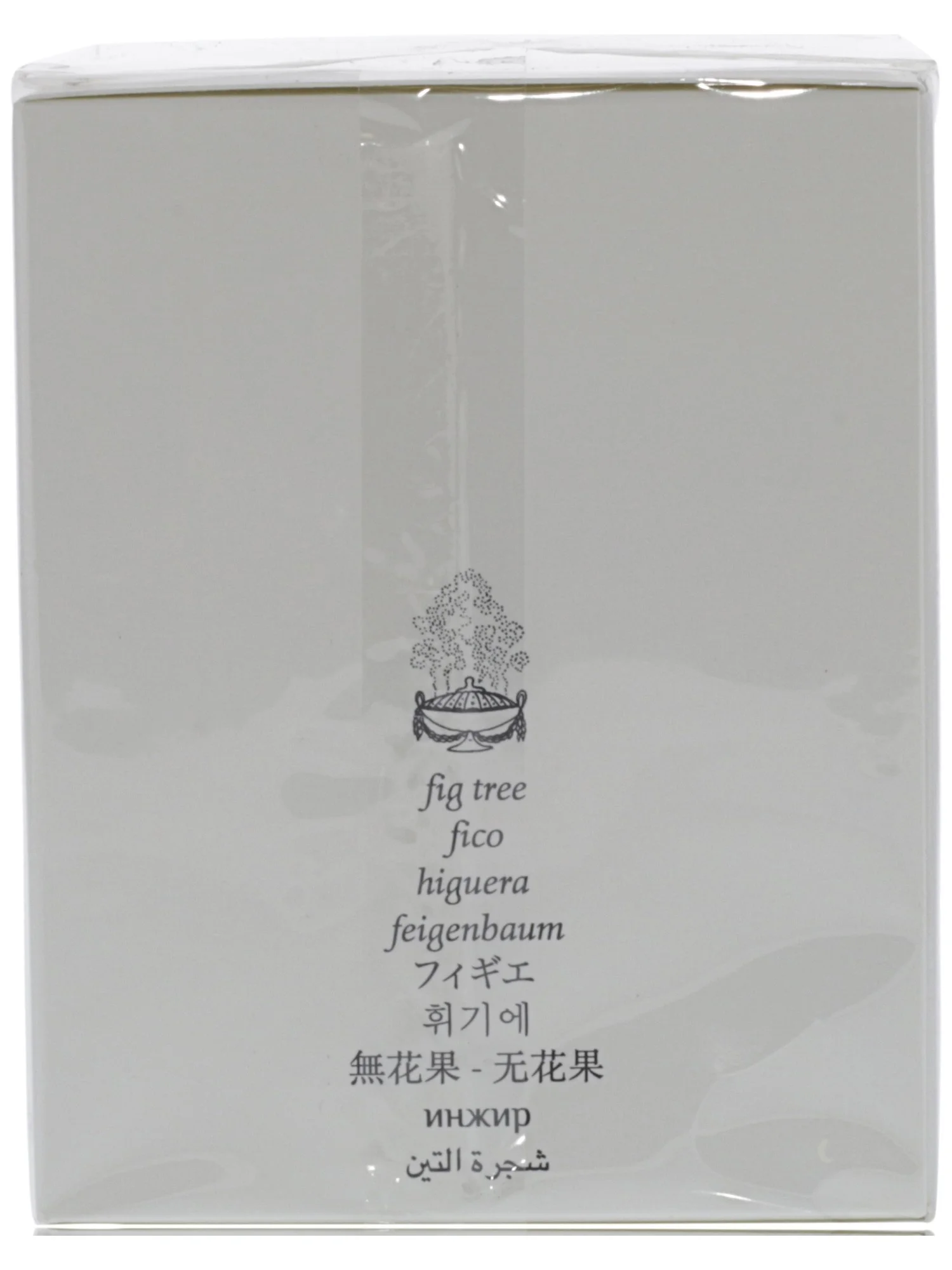 Diptyque Figuier Candle, 1 Count