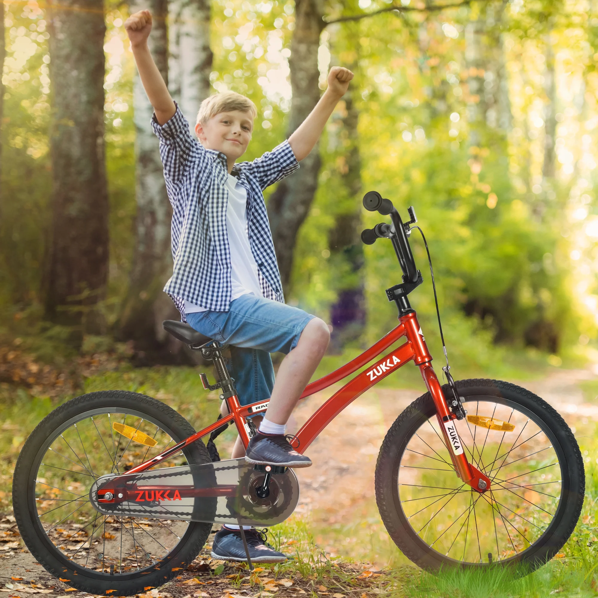 20 Inch Boys Bike, Kids