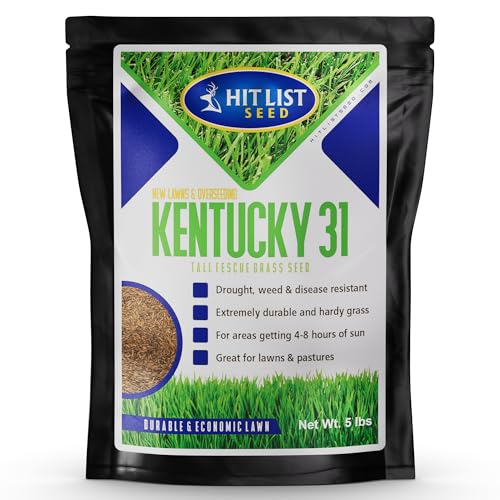 Kentucky 31 K31 Tall Fescue Grass Seed, 5 lbs - Drought Tolerant, Hardy & Abuse Tolerant, Excellent Forage, Pure Seed, Genuine KY31 Seeds, Weed Free, Hunting, Attractive to Deer and Elk