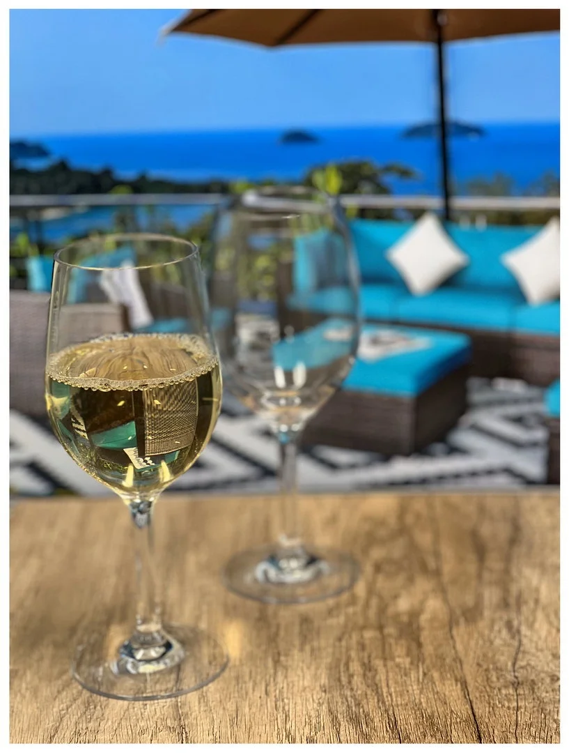 Tritan Wine glass 12 oz. - 2.5