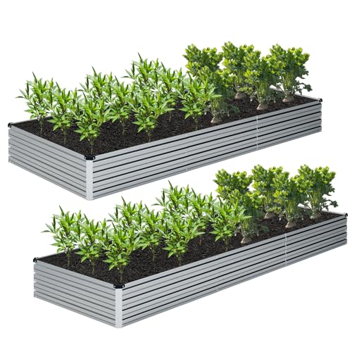 Galvanized Raised Garden Bed,2 Pcs 10×3×1FT Metal Planting Box for Outdoor Vegetable, Herb,Planter Gardening (Silver)