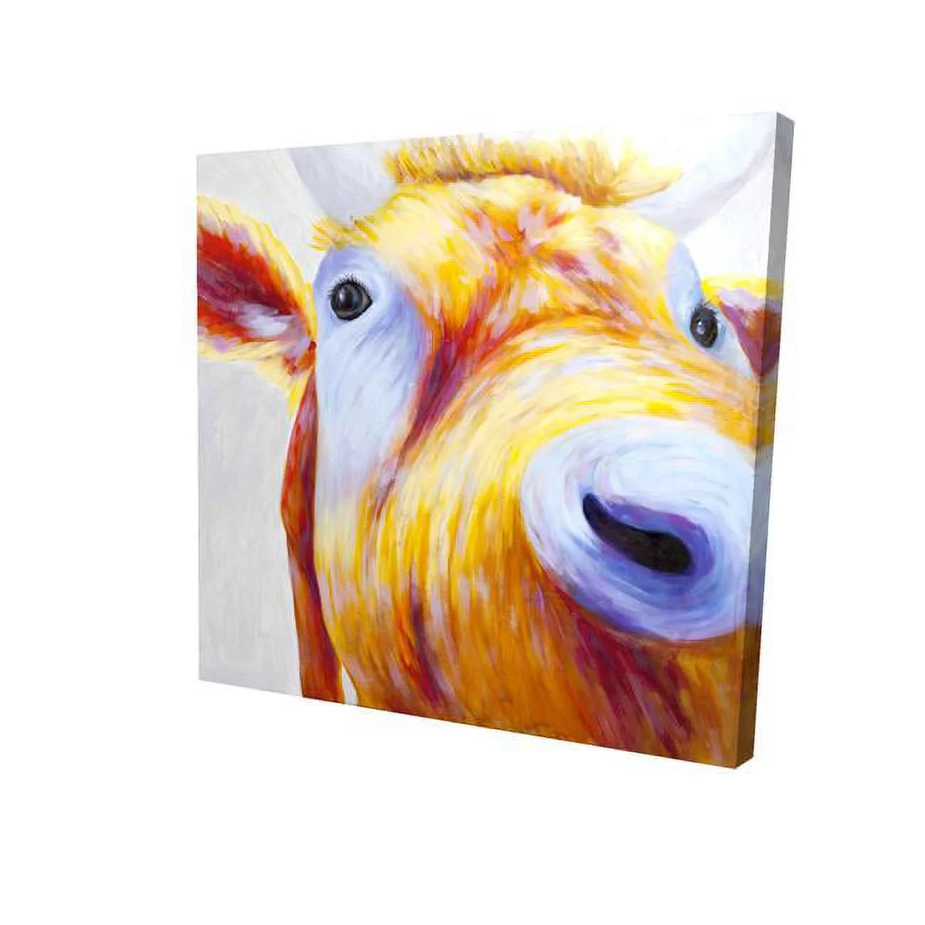 16 x 16 in. Closeup of A Colorful Country Cow-Print on Canvas