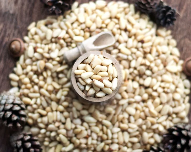 Pine Nuts, 1 Pound — Kosher, Vegan, Raw — by Food to Live