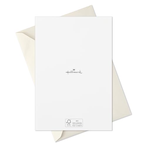 Hallmark Boxed Religious Christmas Cards, Gold Foil Star (40 Cards and 40 Envelopes) Holy Season Blessings